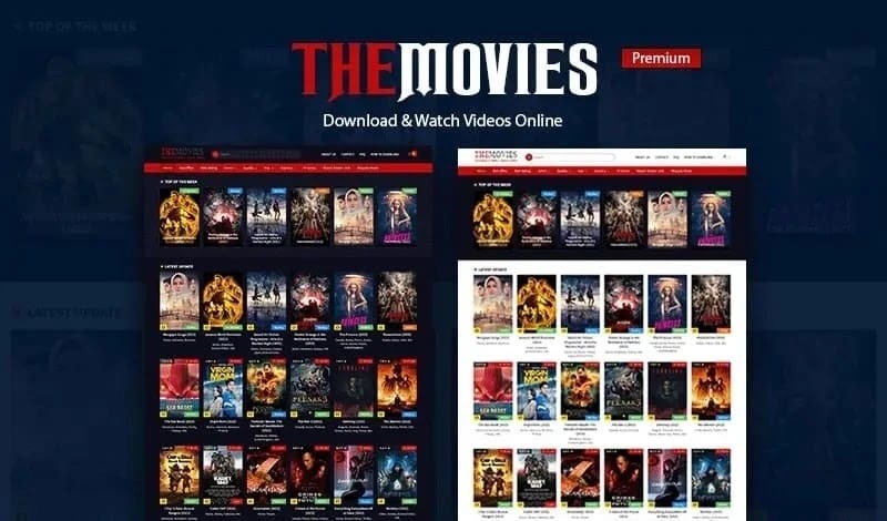 themovies.jpg