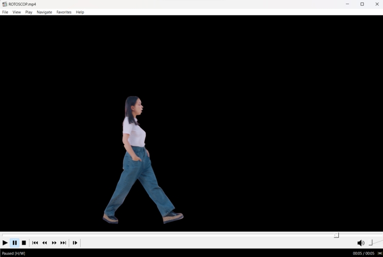 ROTO4.png