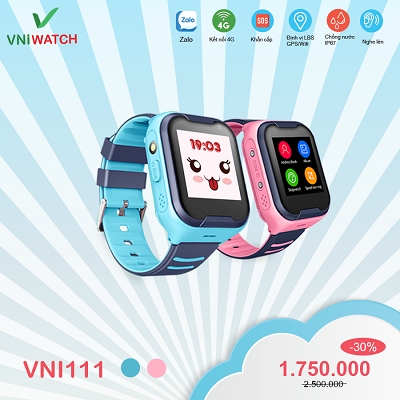 Banner VNI.png