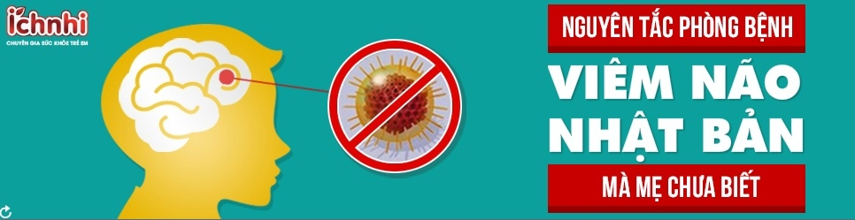 banner flash.jpg