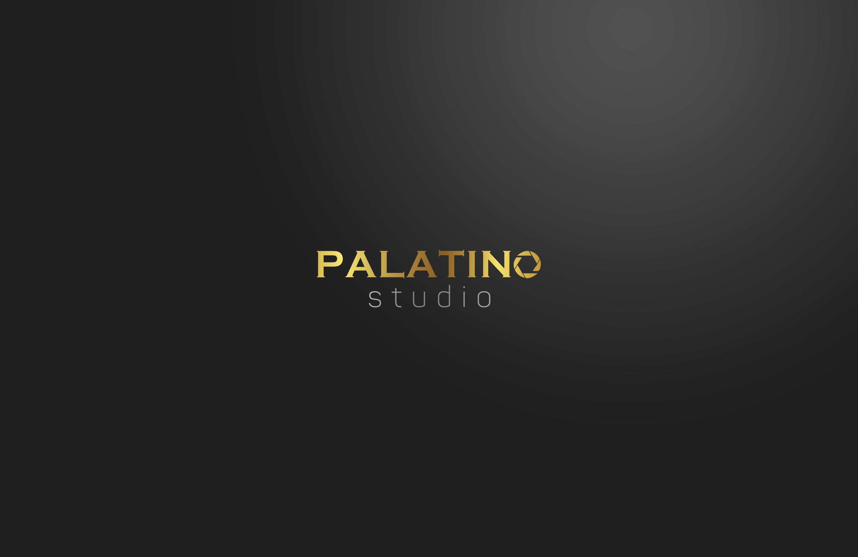 logo.png