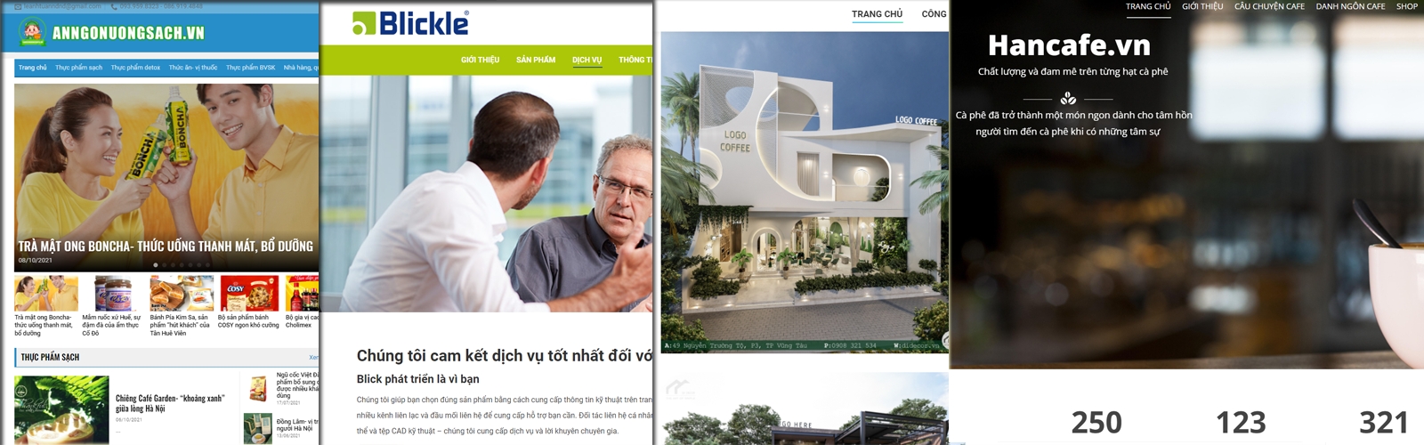 WEBSITE MẪU.png