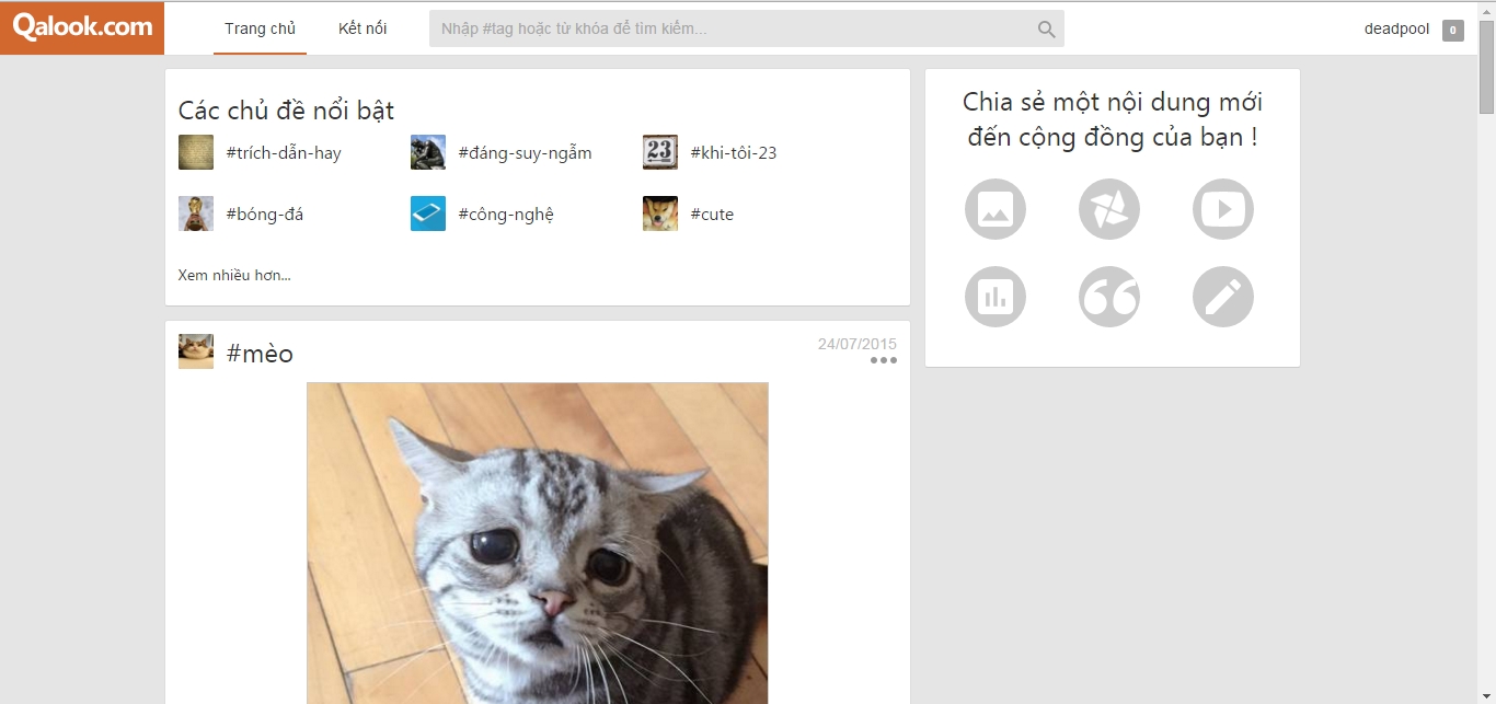 qalook.png