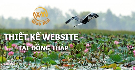 thiet-ke-website-tai-dong-thap.png