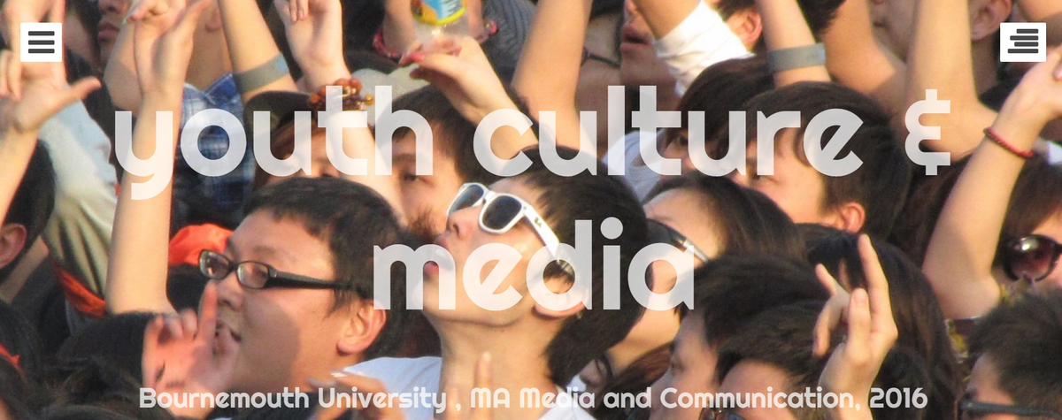 Youth culture blog.png