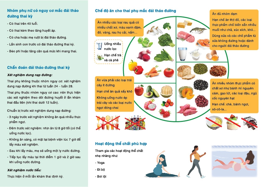 expand 20221215 Dai thao duong thai ki trifold a4-01-02.jpg