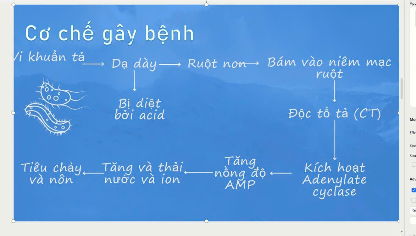 z6657136164889_601555860bff14004dac06a23977e3c2.jpg