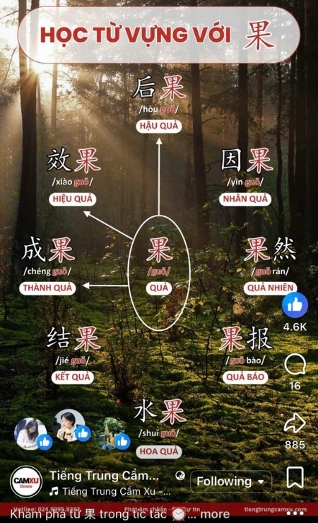 video-tree-of-vocab.jpg