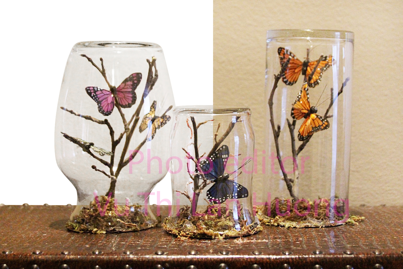 images1228247_Butterfly_Oasis.jpg