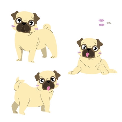 Pug - -Oscar-1.jpg