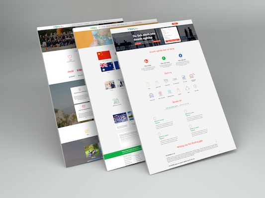 mockup web copy.jpg