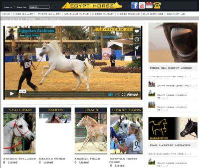 egypthorse.jpg