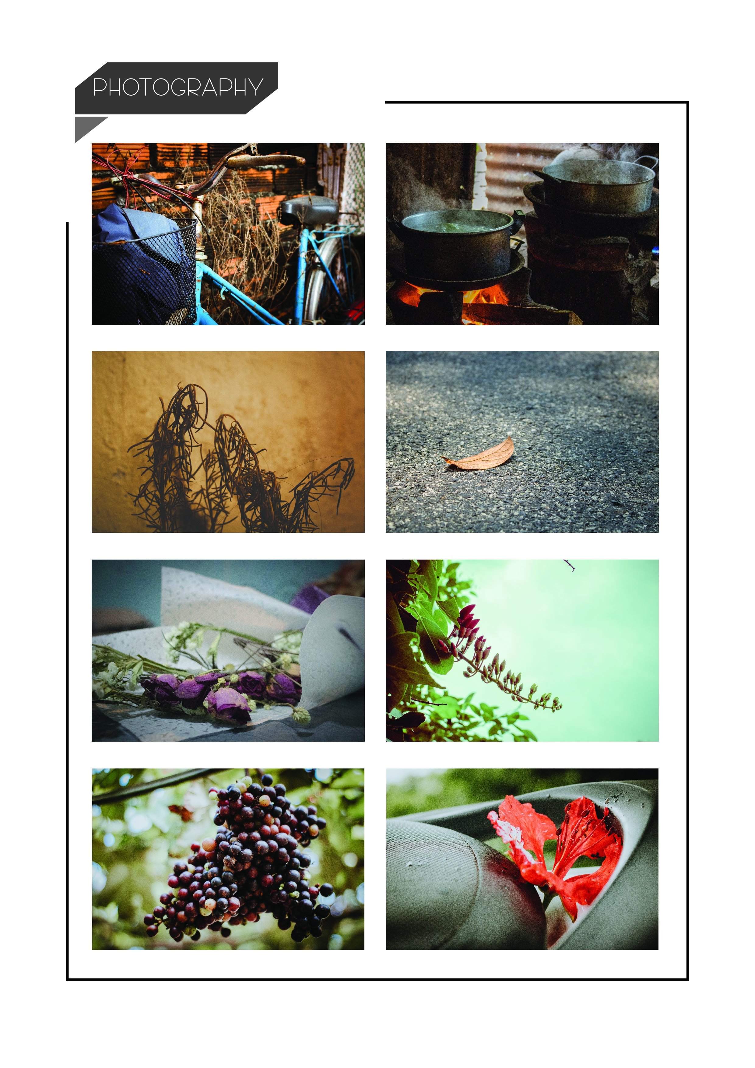 layout-photo1.jpg