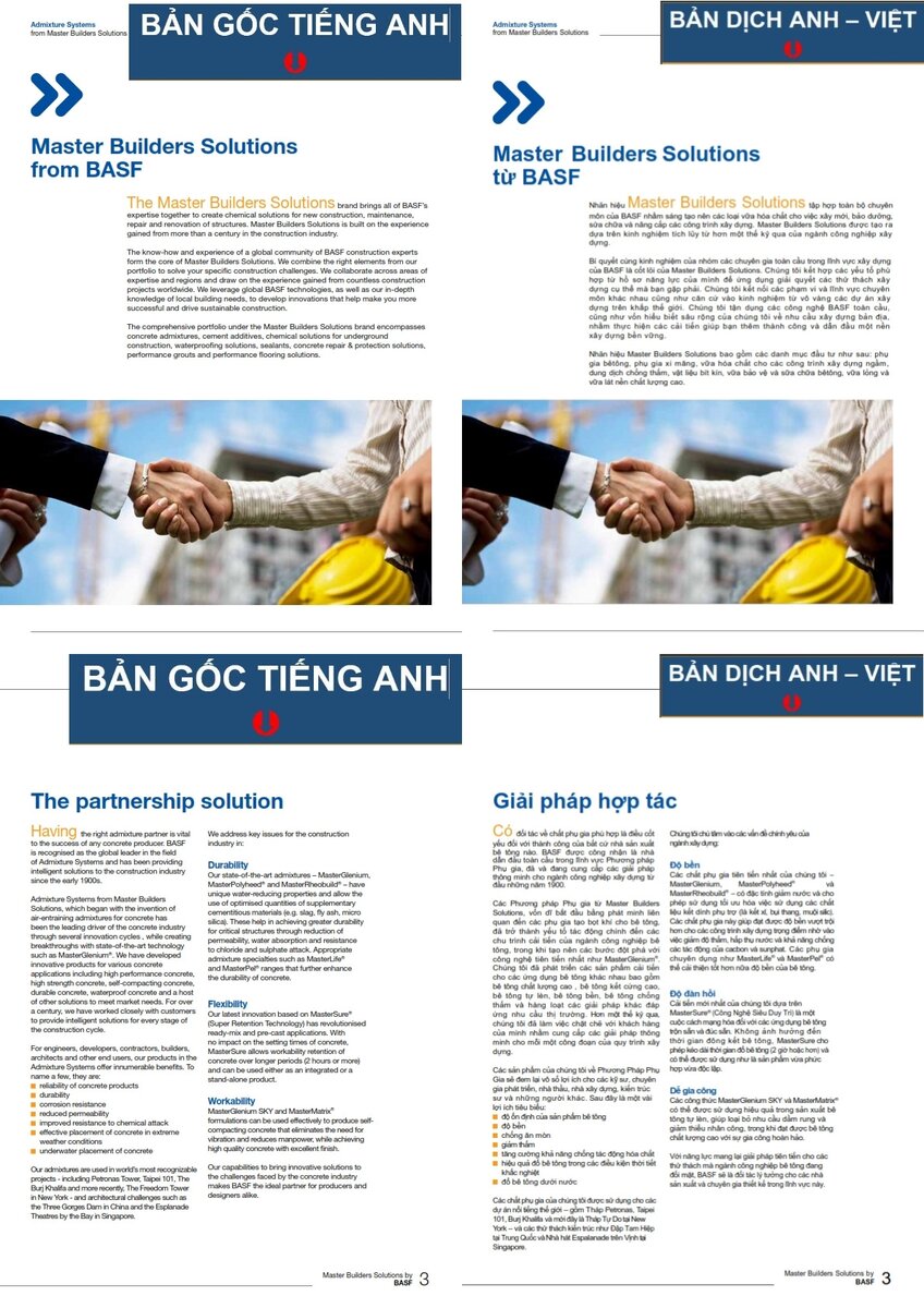 Ho so nang luc BASF Global (file dich song ngu Anh-Viet).jpg