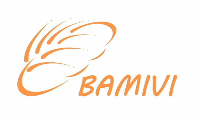 BAMIVI_Option.png