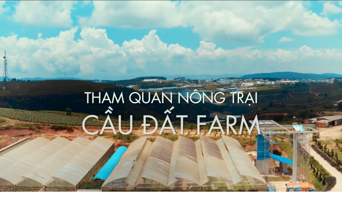 CDFarm.png