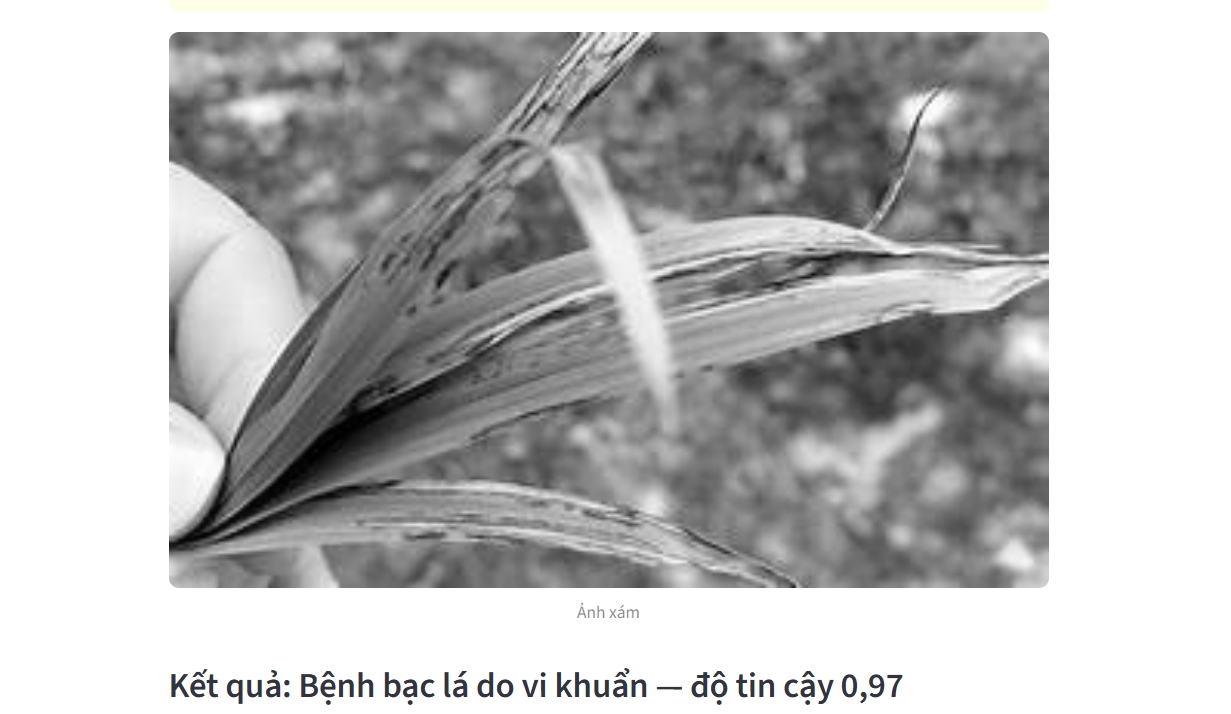 screenshot_1764995601.png