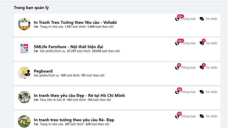 c&aacute;c trang đang quản l&yacute;.jpg