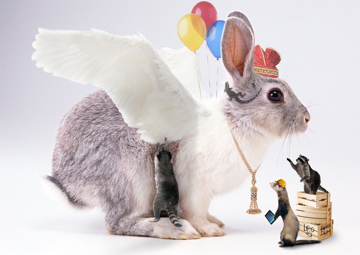 angel-rabbit.jpg