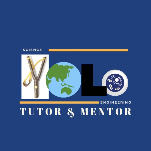 YOLO Tutors _ Mentors(5).png
