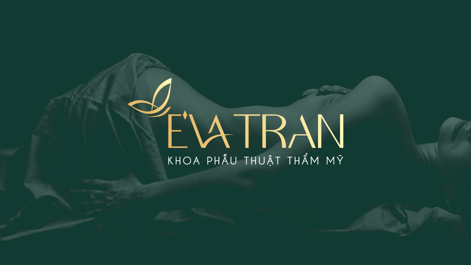 evatran-d.jpg