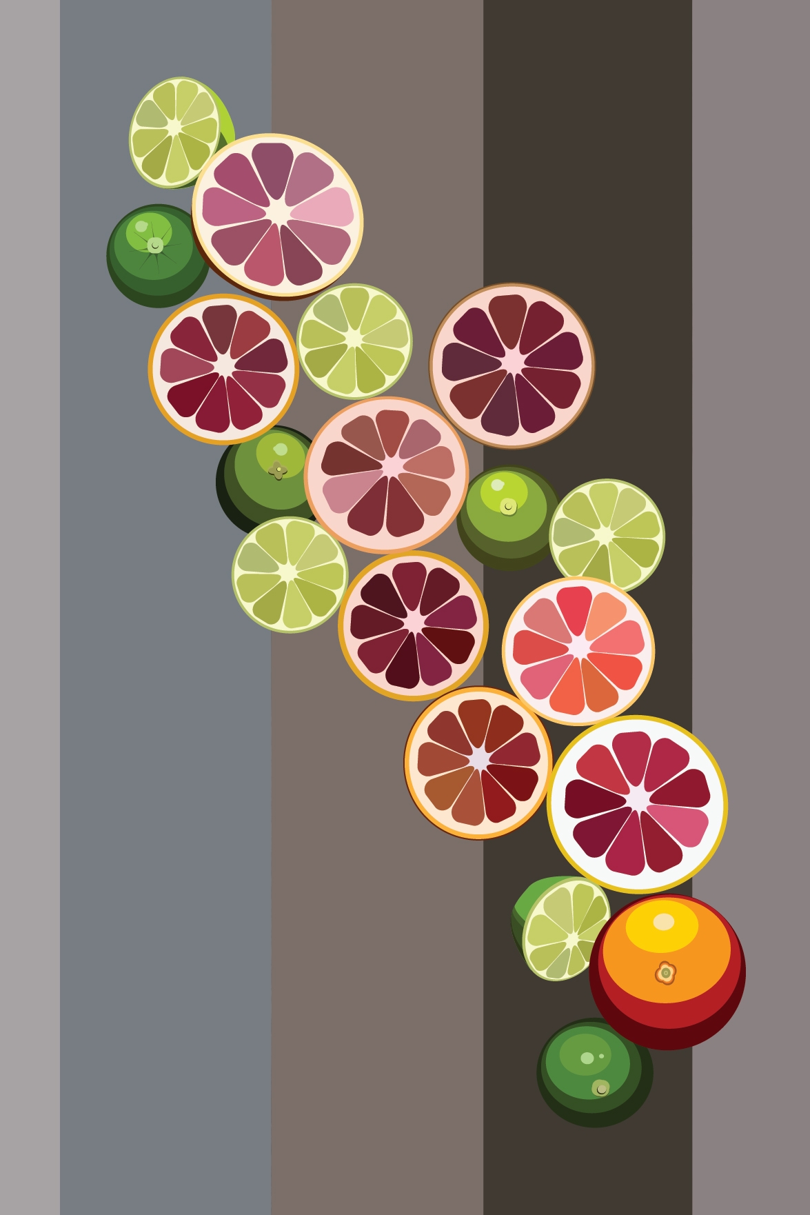 Fruit -Illustration.jpg