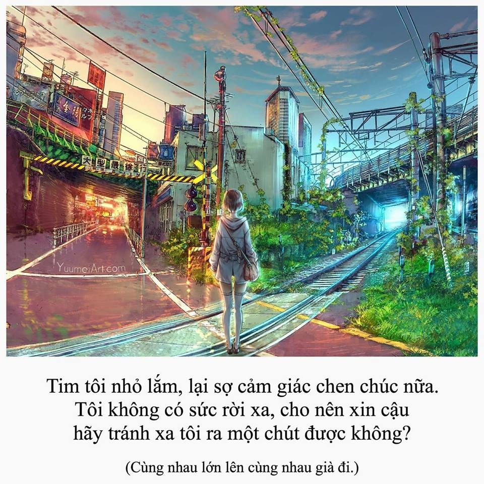 h&igrave;nh nen m&acirc;ng.jpg
