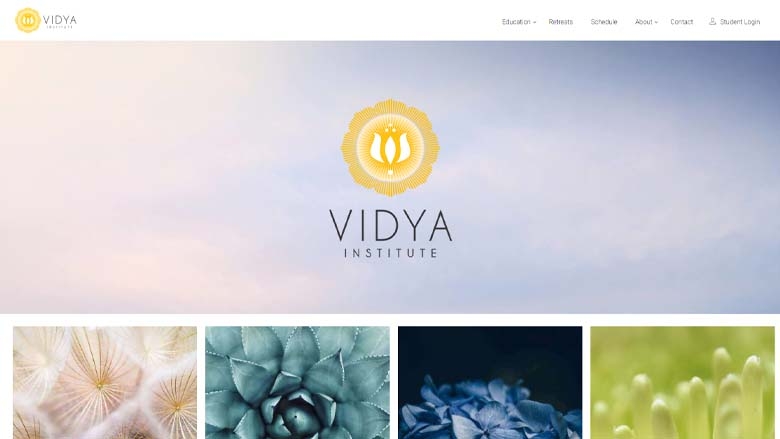 vidyainstitute.jpg