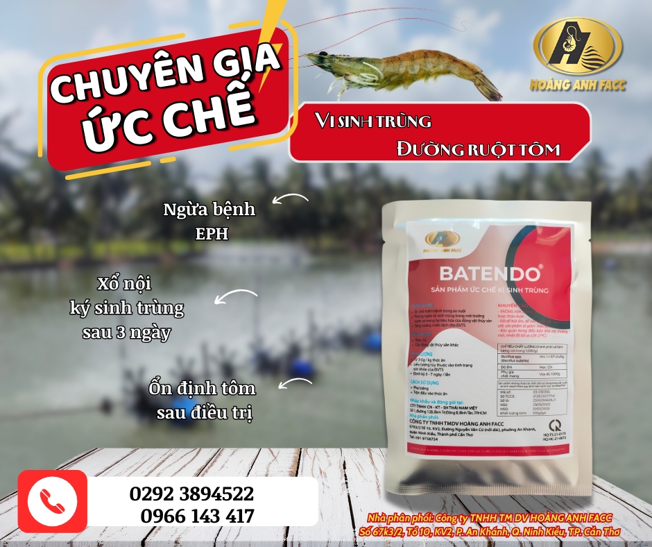 BATENDO - HOANGANHFACC.png
