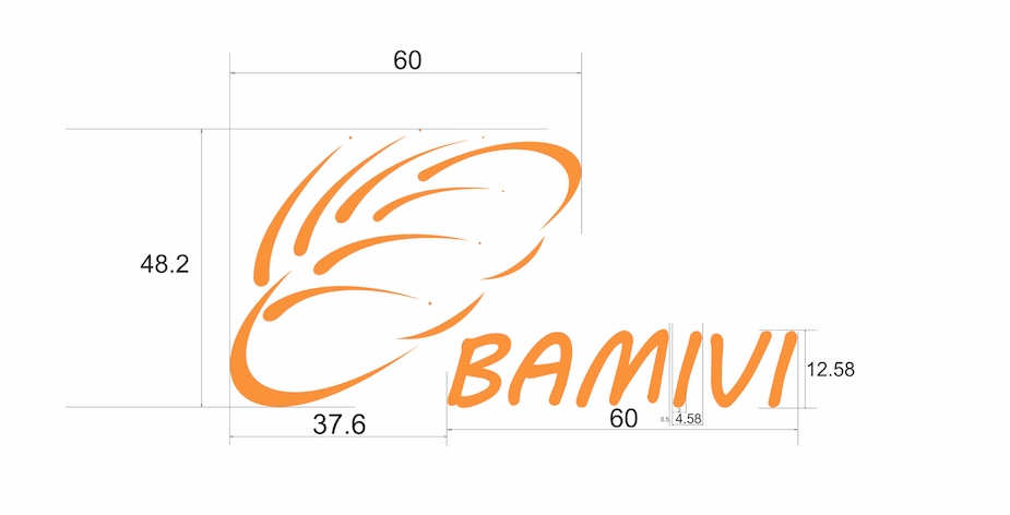 BAMIVI_scale.png