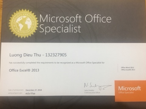 MOS EXCEL.jpg