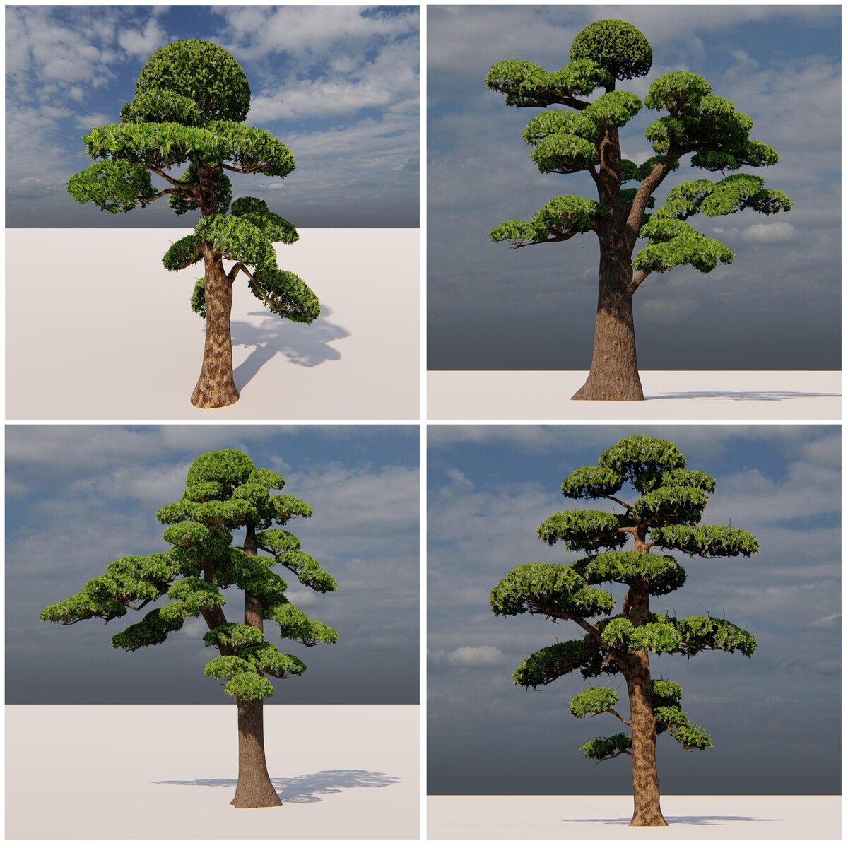 Trees.jpg