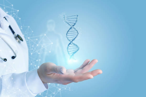 istockphoto-1028347778-612x612.jpg