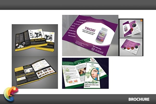 brochure1.png