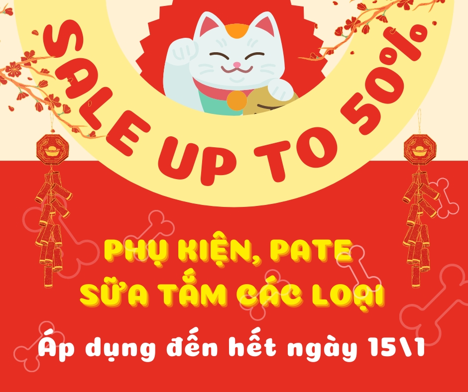 Xanh dương v&agrave; M&agrave;u kem Ch&oacute; Minh họa H&agrave;i hước B&agrave;i đăng Facebook (5).png