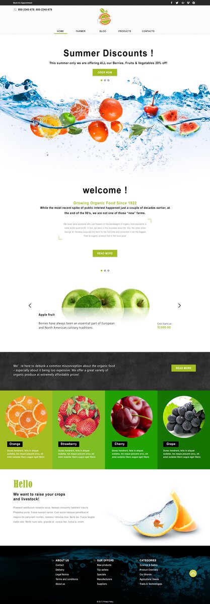 web_fruit_05.jpg
