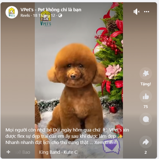 Screenshot 2024-01-15 180918.png