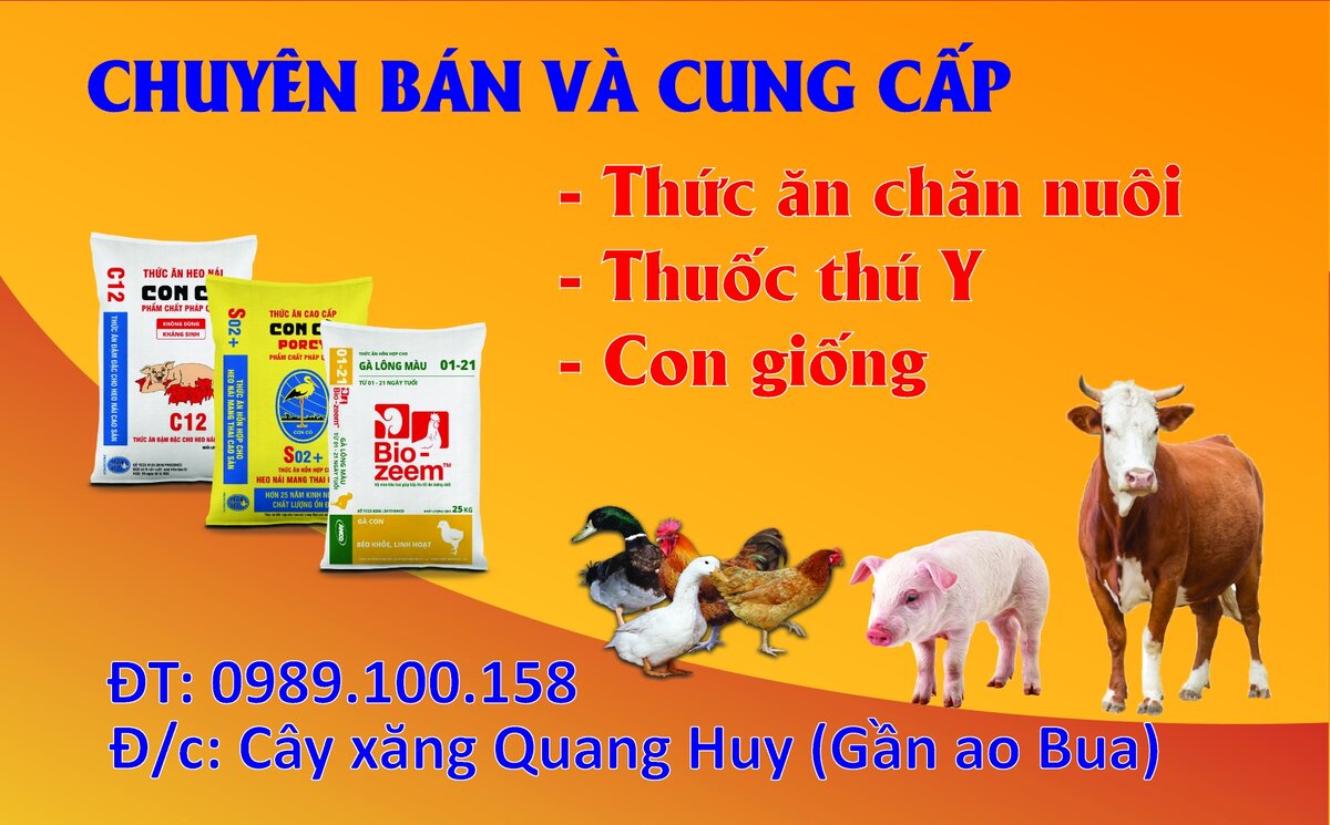 Card-Hanh-Van-MSAU.jpg