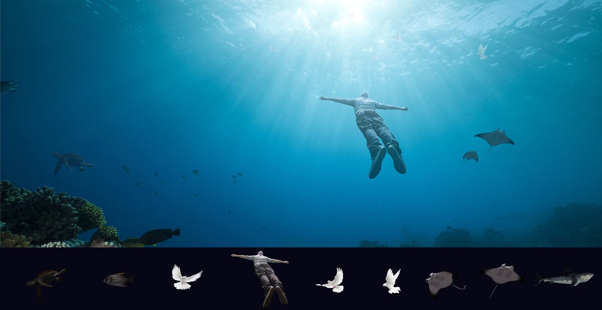 flying-in-the-sea-stock1.jpg