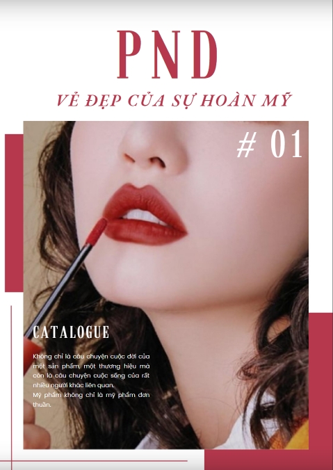 Catalogue online.png