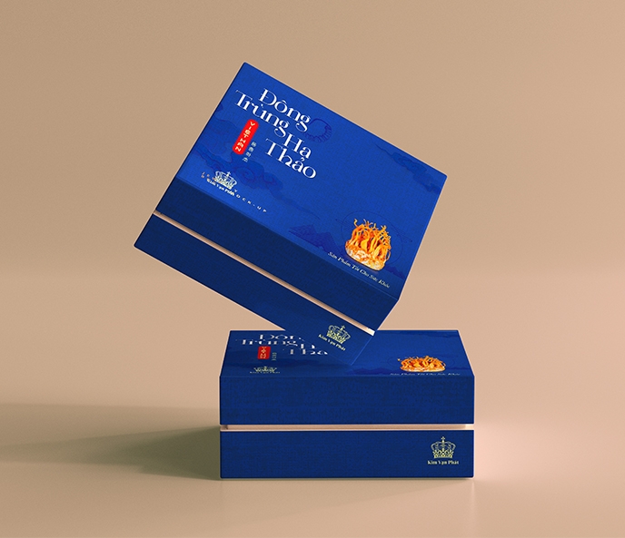 mockup box - dong trung.jpg