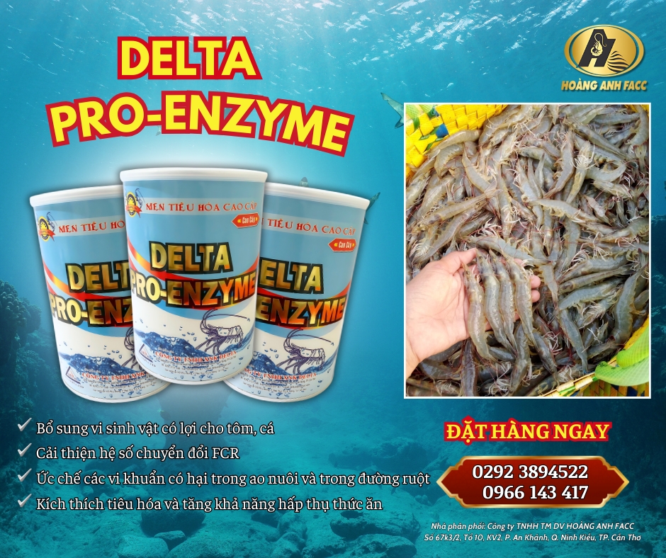 PRO-ENZYME (HOANGANHFACC).png