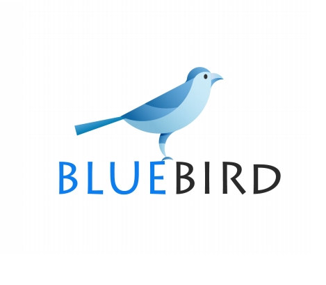 blue bird.png