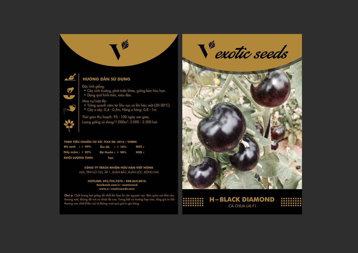 cachua_BLACKDIAMOND.jpg