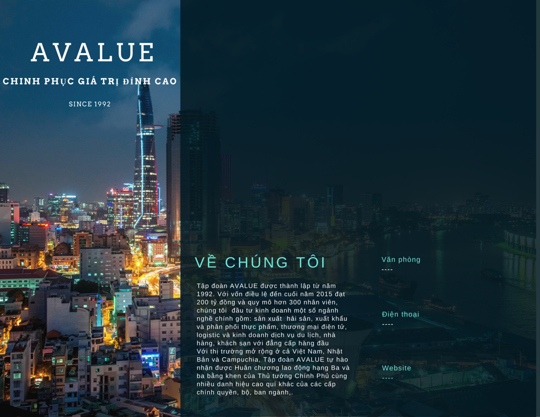 [Bảo] AVALUE 1.png