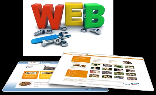 chinh-sua-nang-cap-web.png