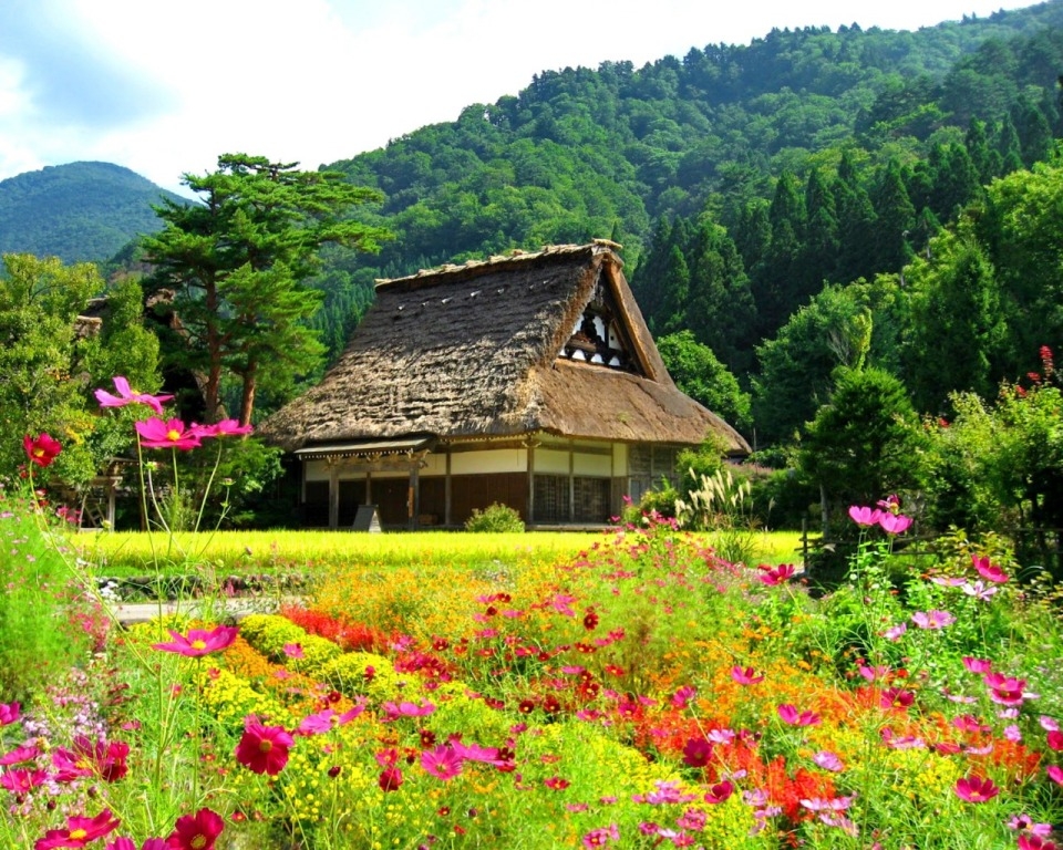 anh-dep-ve-thien-nhien-dep-long-lay.jpg