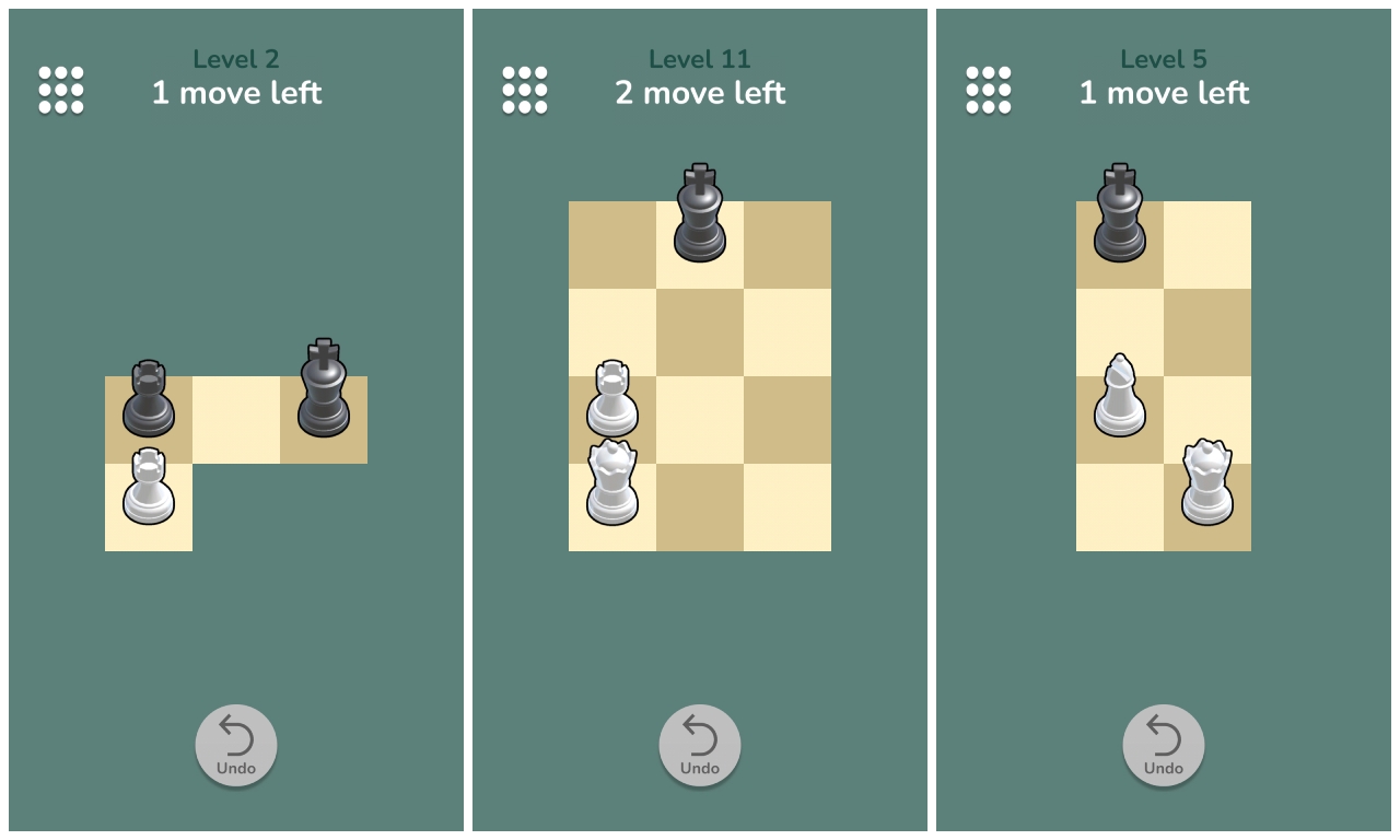 chess cover.png