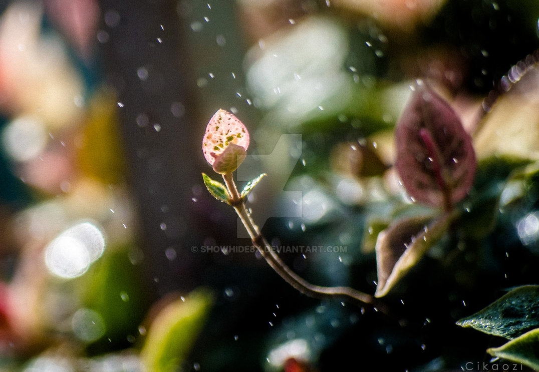 _____by_showhide8x-dcr1qqn.jpg