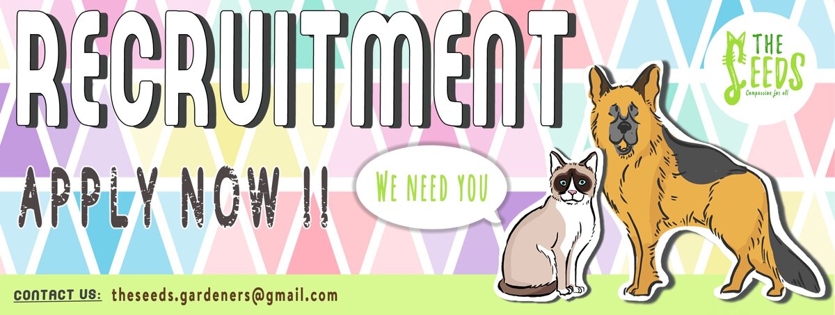 Recruitment 3 patten c.jpg